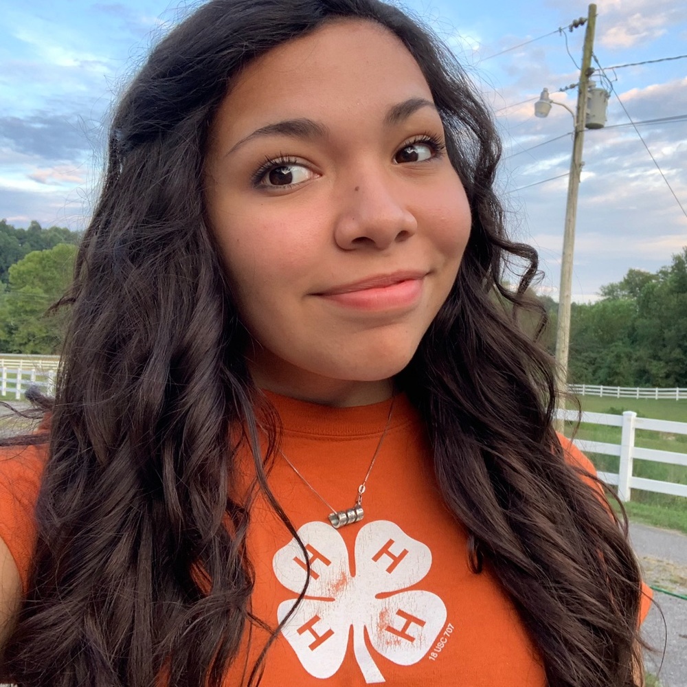 Meet your Posher, Morelia